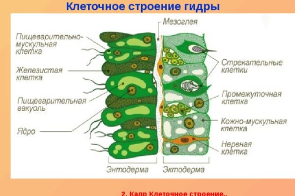 Мега зеркало рабочее онион